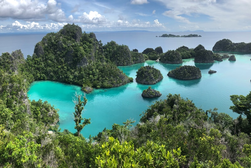 Ilhas Raja Ampat - ilhas paradisíacas que você deve visitar 