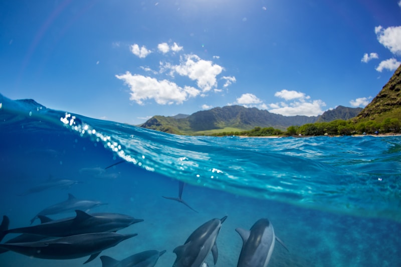 Ilha da Reunião - ilhas paradisíacas que você deve visitar 